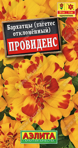 Бархатцы Провиденс отклоненные