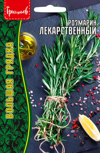 Розмарин Лекарственный