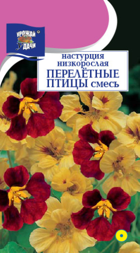 Настурция Перелетные птицы зебрина, смесь 