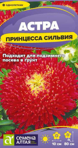 Астра Принцесса Сильвия 