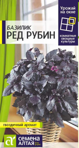 Базилик Ред Рубин УРОЖАЙ НА ОКНЕ!