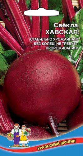 Свекла Хавская 