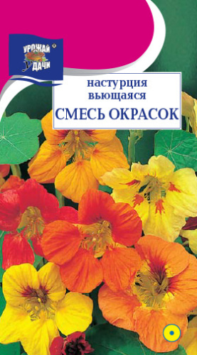 Настурция вьющаяся Смесь Окрасок 