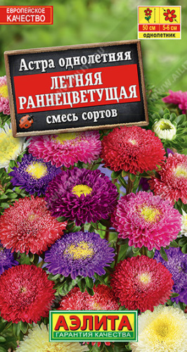 Астра Летняя раннецветущая, смесь