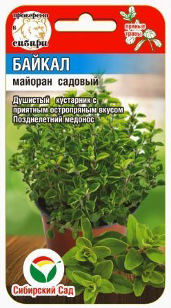 Майоран Байкал 
