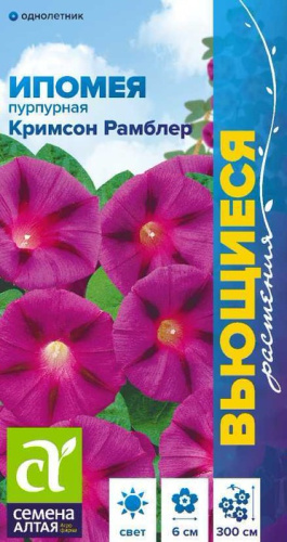 Ипомея пурпурная Кримсон Рамблер 