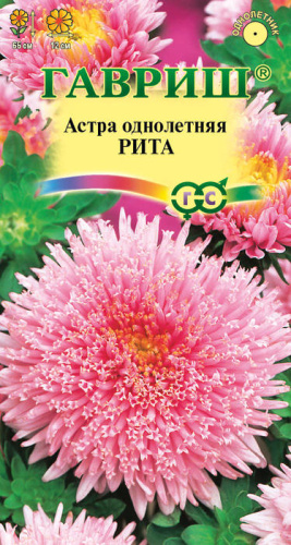 Астра принцесса Рита