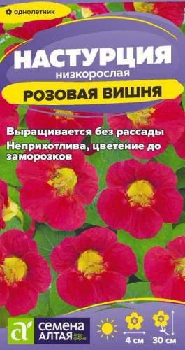 Настурция Розовая вишня низкорослая 