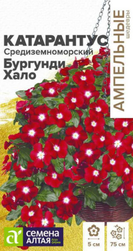 Катарантус Средиземноморский Бургунди Хало