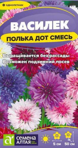 Василек Полька Дот 