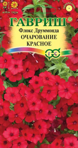 Флокс Очарование красное друммонда
