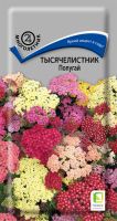 Тысячелистник Попугай купить