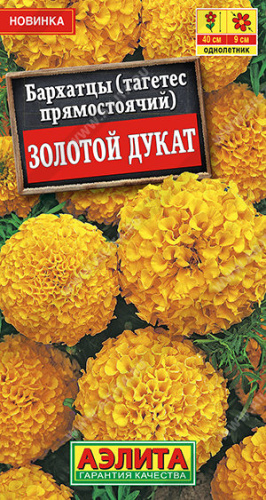 Бархатцы Золотой дукат прямостоячие  