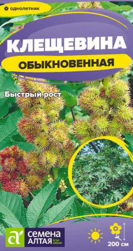 Клещевина Обыкновенная