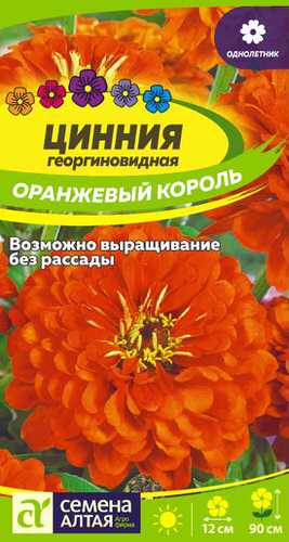 Цинния Оранжевый Король