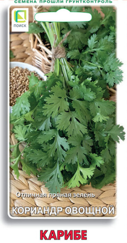 Кориандр Карибе