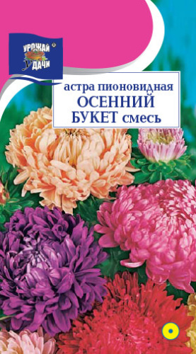 Астра Осенний букет, смесь пионовидная