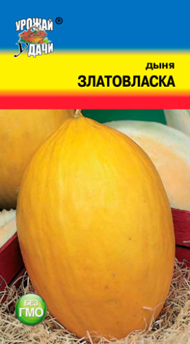 Дыня Златовласка