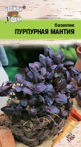 Базилик Пурпурная Мантия