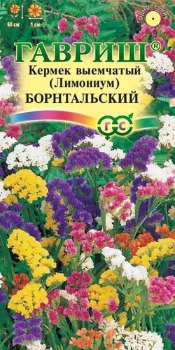 Лимониум Борнтальский (кермек), смесь 