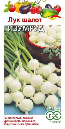 Лук (шалот) Изумруд 