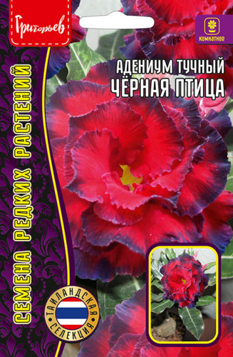 Адениум Чёрная Птица