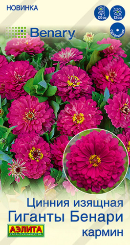 Цинния Гиганты Бенари кармин Benary