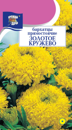 Бархатцы Золотое кружево махр. прямостоячие