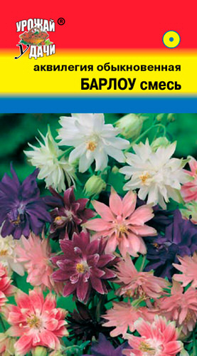 Аквилегия Барлоу смесь махровая