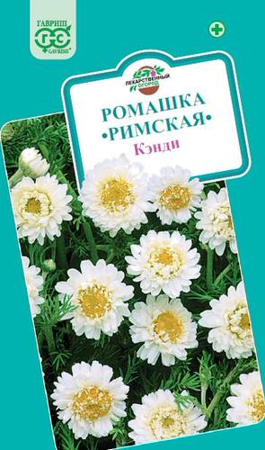 Ромашка Римская Кэнди 
