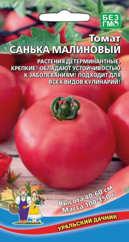 Томат Санька малиновый