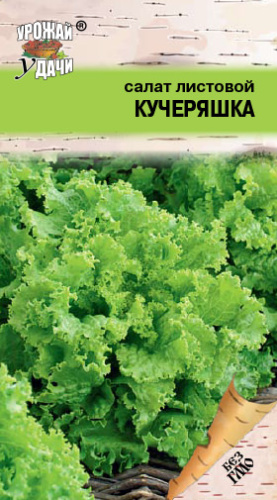 Салат КУЧЕРЯШКА