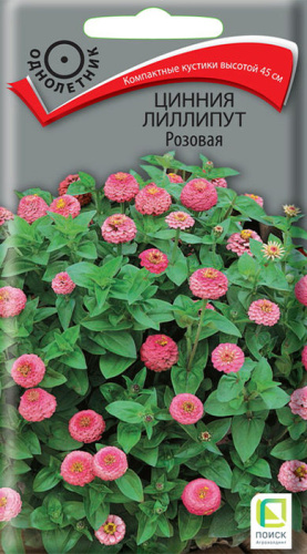 Цинния Лиллипут Розовая 