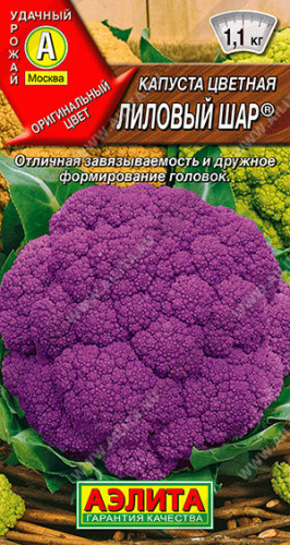 Капуста (цветная) Лиловый шар 