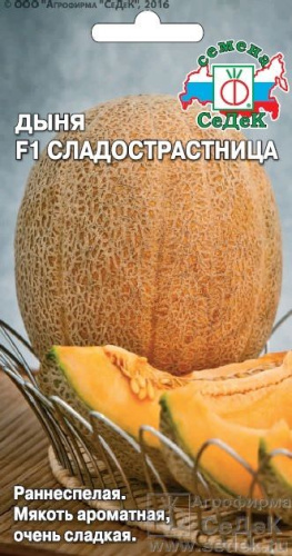 Дыня Сладострастница F1