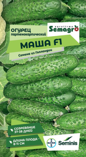 Огурец Маша F1 