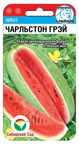 Арбуз Чарльстон грей 
