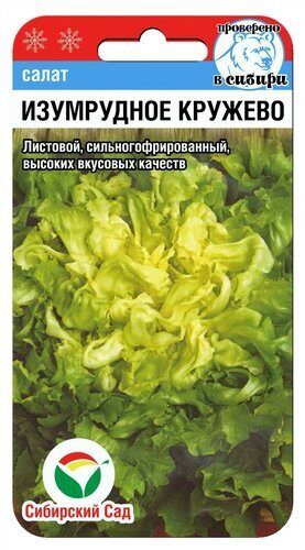 Салат Изумрудное кружево 
