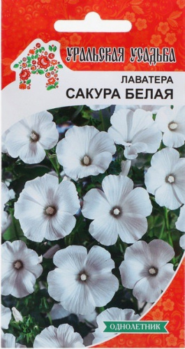 Лаватера Сакура белая (УУ)