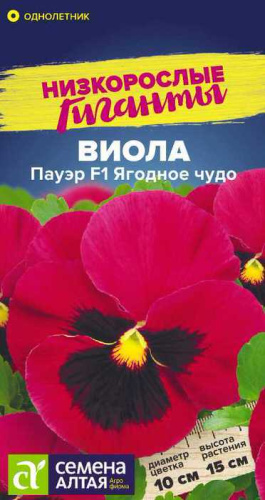 Виола Пауэр Ягодное чудо F1 Низкорослые гиганты