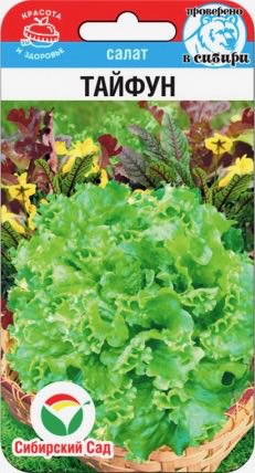 Салат Тайфун