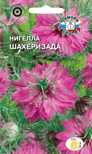 Нигелла Шахеризада