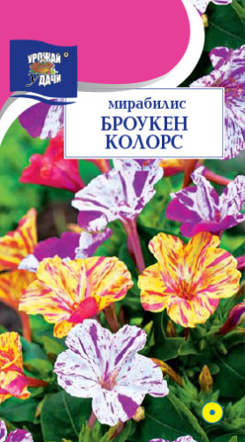 Мирабилис Броукен колорс 