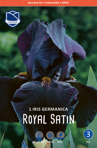 Ирис germanica Royal Satin /1шт