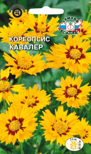 Кореопсис  Кавалер 