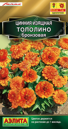 Цинния Тополино бронзовая  Farao 
