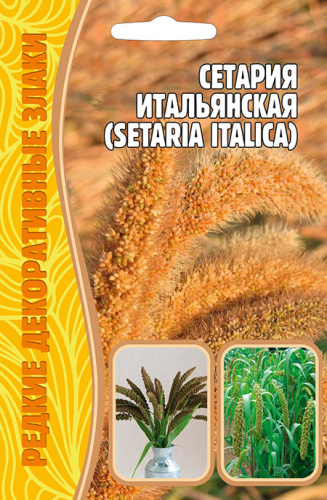 Сетария Итальянская