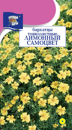 Бархатцы Лимонный Самоцвет