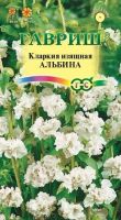 Кларкия Альбина изящная купить