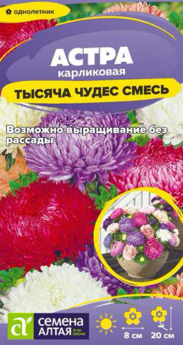 Астра Тысяча чудес смесь карликовая